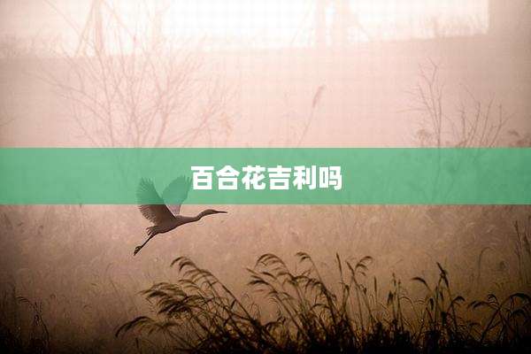 百合花吉利吗