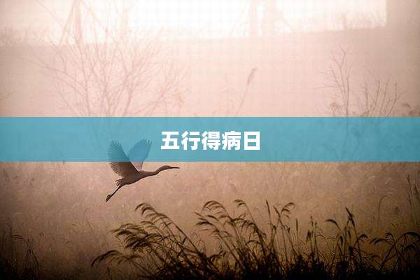 五行得病日