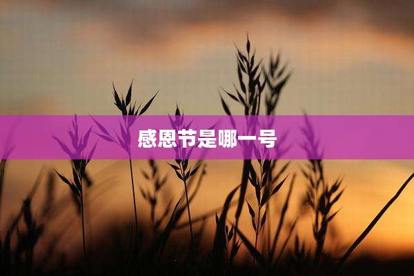 感恩节是哪一号