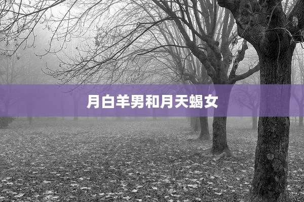 月白羊男和月天蝎女