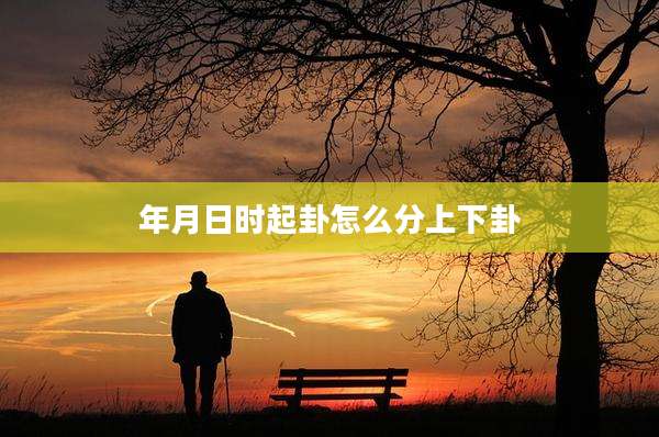 年月日时起卦怎么分上下卦