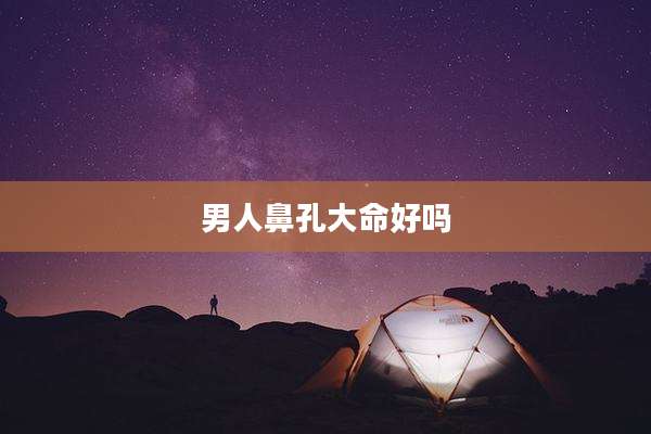 男人鼻孔大命好吗
