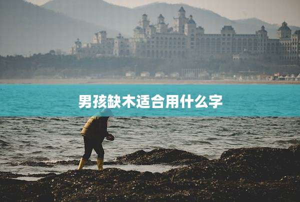 男孩缺木适合用什么字