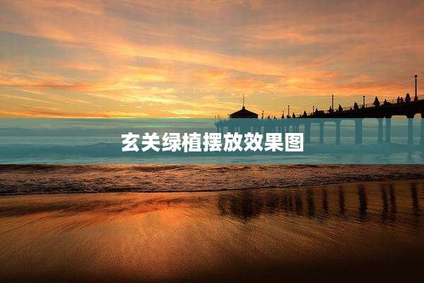 玄关绿植摆放效果图