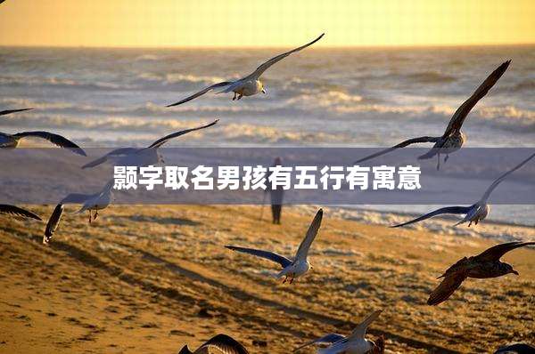 颢字取名男孩有五行有寓意