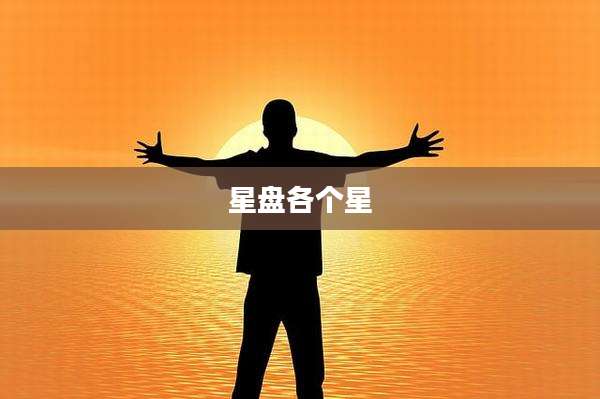 星盘各个星