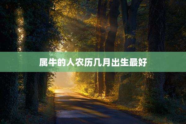 属牛的人农历几月出生最好