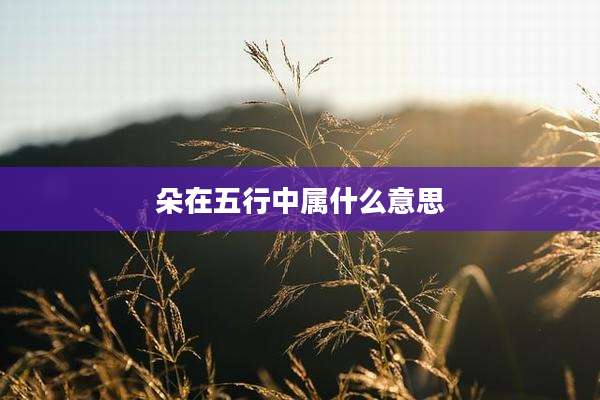 朵在五行中属什么意思