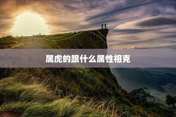 属虎的跟什么属性相克