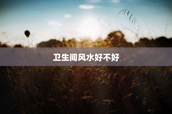 卫生间风水好不好