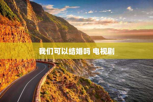 我们可以结婚吗 电视剧
