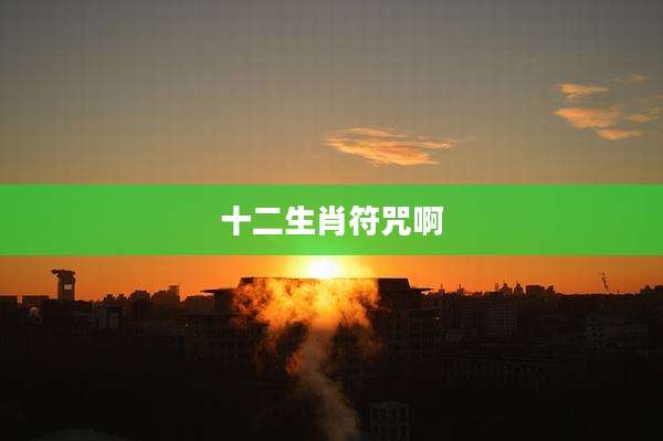 十二生肖符咒啊