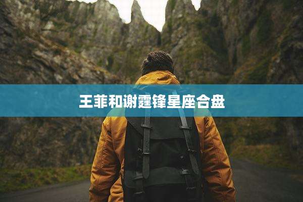 王菲和谢霆锋星座合盘