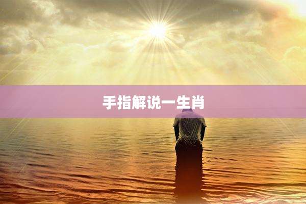 手指解说一生肖