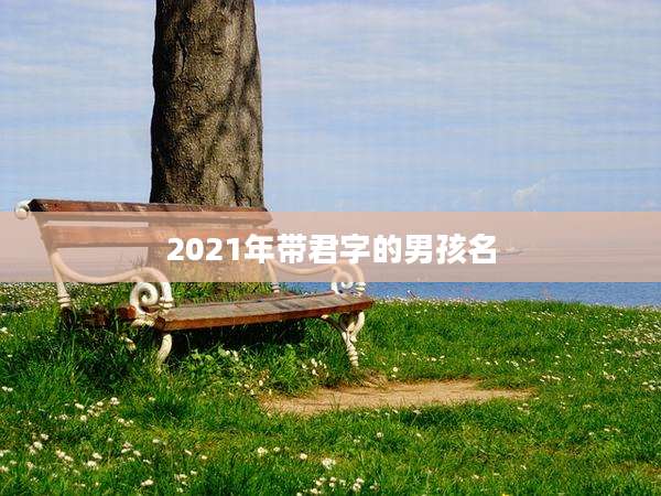 2021年带君字的男孩名