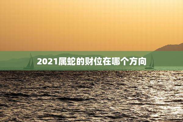 2021属蛇的财位在哪个方向