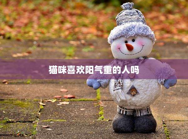 猫咪喜欢阳气重的人吗