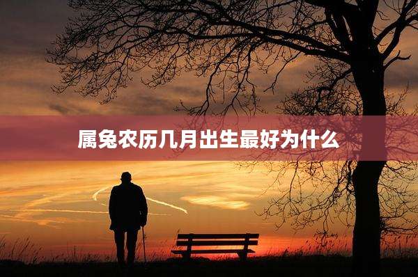 属兔农历几月出生最好为什么