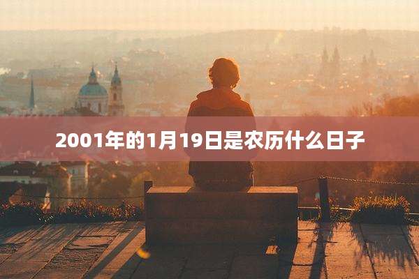 2001年的1月19日是农历什么日子