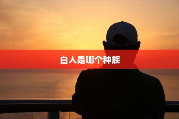 白人是哪个种族