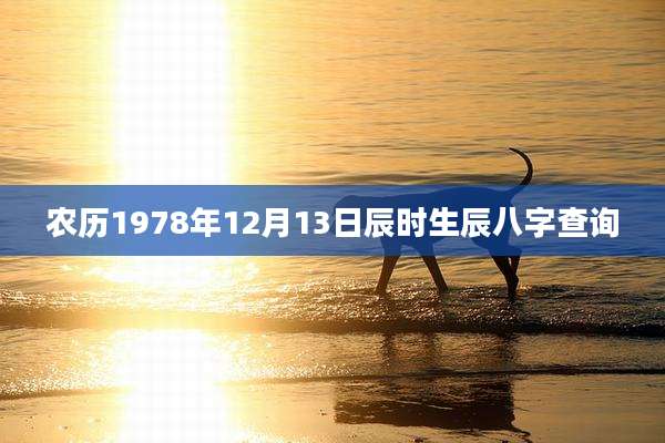 农历1978年12月13日辰时生辰八字查询