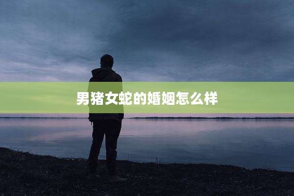 男猪女蛇的婚姻怎么样