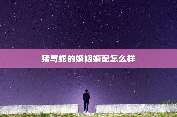猪与蛇的婚姻婚配怎么样