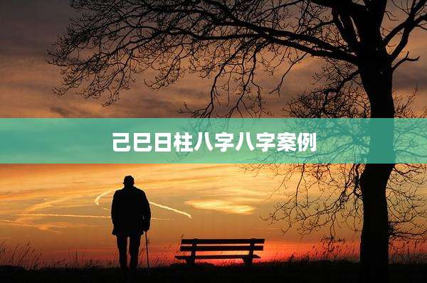 己巳日柱八字八字案例