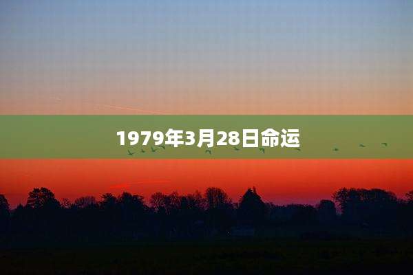 1979年3月28日命运