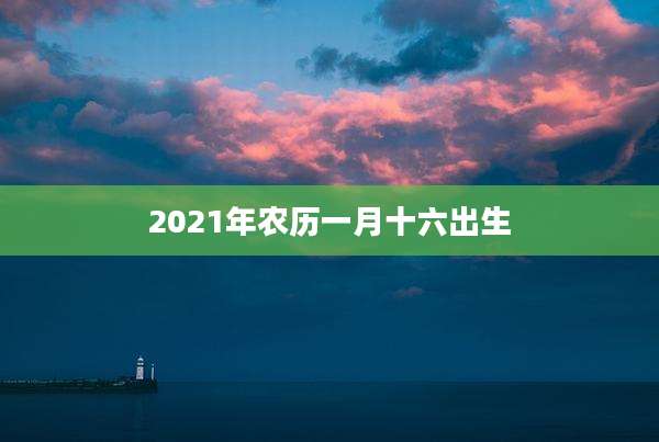 2021年农历一月十六出生