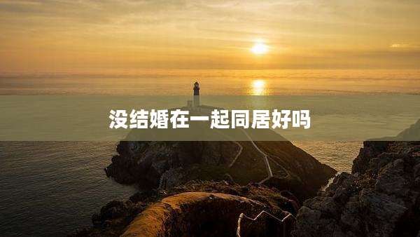 没结婚在一起同居好吗