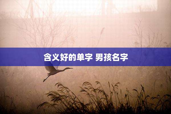 含义好的单字 男孩名字