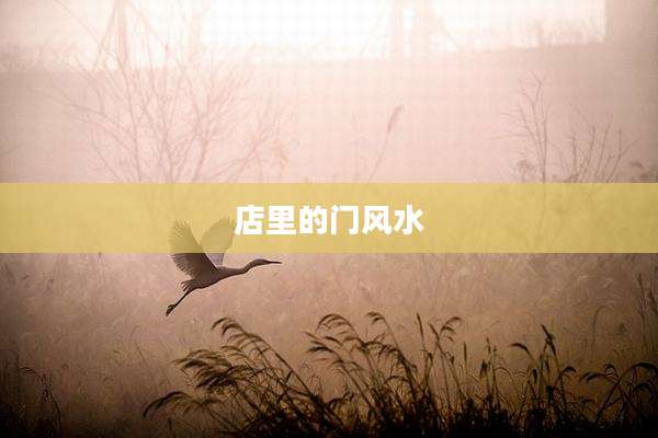 店里的门风水