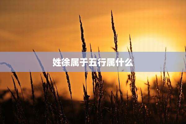 姓徐属于五行属什么