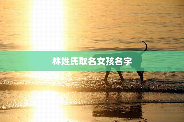 林姓氏取名女孩名字