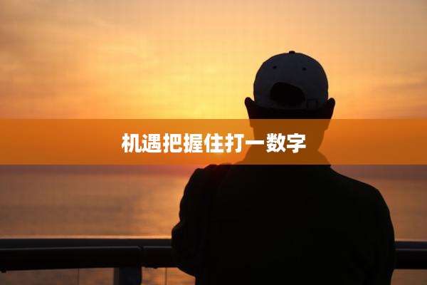 机遇把握住打一数字