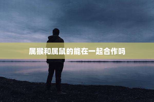 属猴和属鼠的能在一起合作吗