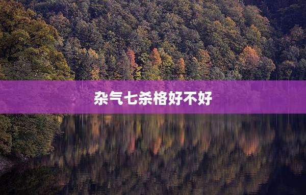 杂气七杀格好不好