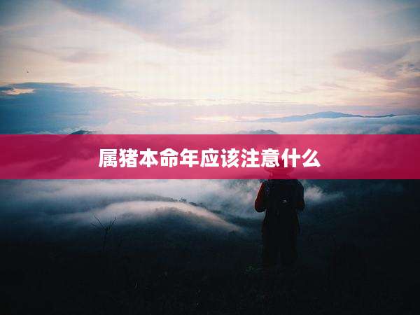 属猪本命年应该注意什么