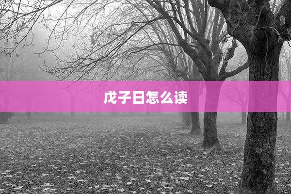 戊子日怎么读