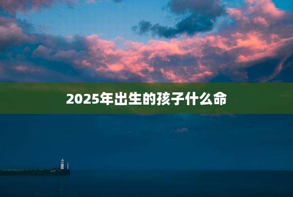 2025年出生的孩子什么命