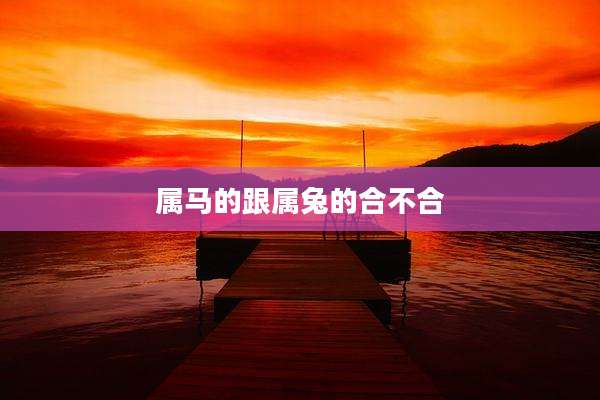 属马的跟属兔的合不合