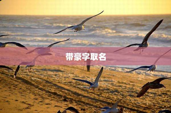 带豪字取名