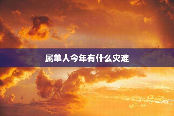 属羊人今年有什么灾难