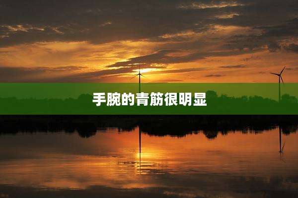 手腕的青筋很明显