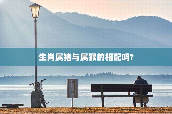 生肖属猪与属猴的相配吗?
