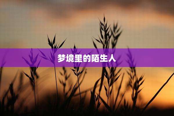 梦境里的陌生人