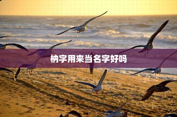 枘字用来当名字好吗