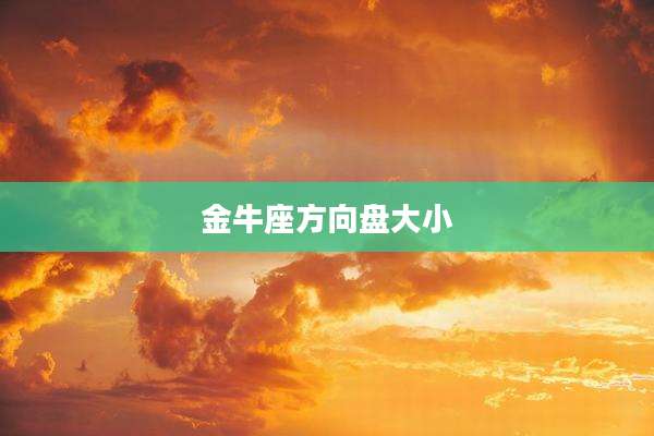 金牛座方向盘大小