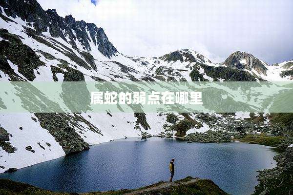 属蛇的弱点在哪里